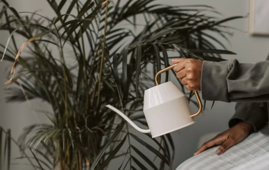 Una mujer regando / CANVA Una mujer regando / CANVA