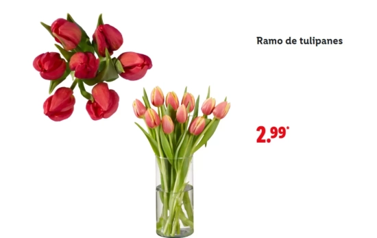 Ramo tulipanes/ LIDL Ramo tulipanes/ LIDL