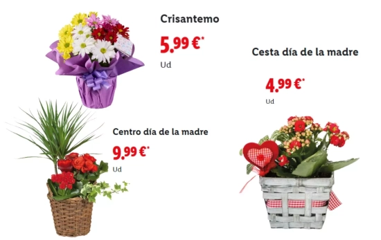 Centros del día de la madre/ LIDL Centros del día de la madre/ LIDL