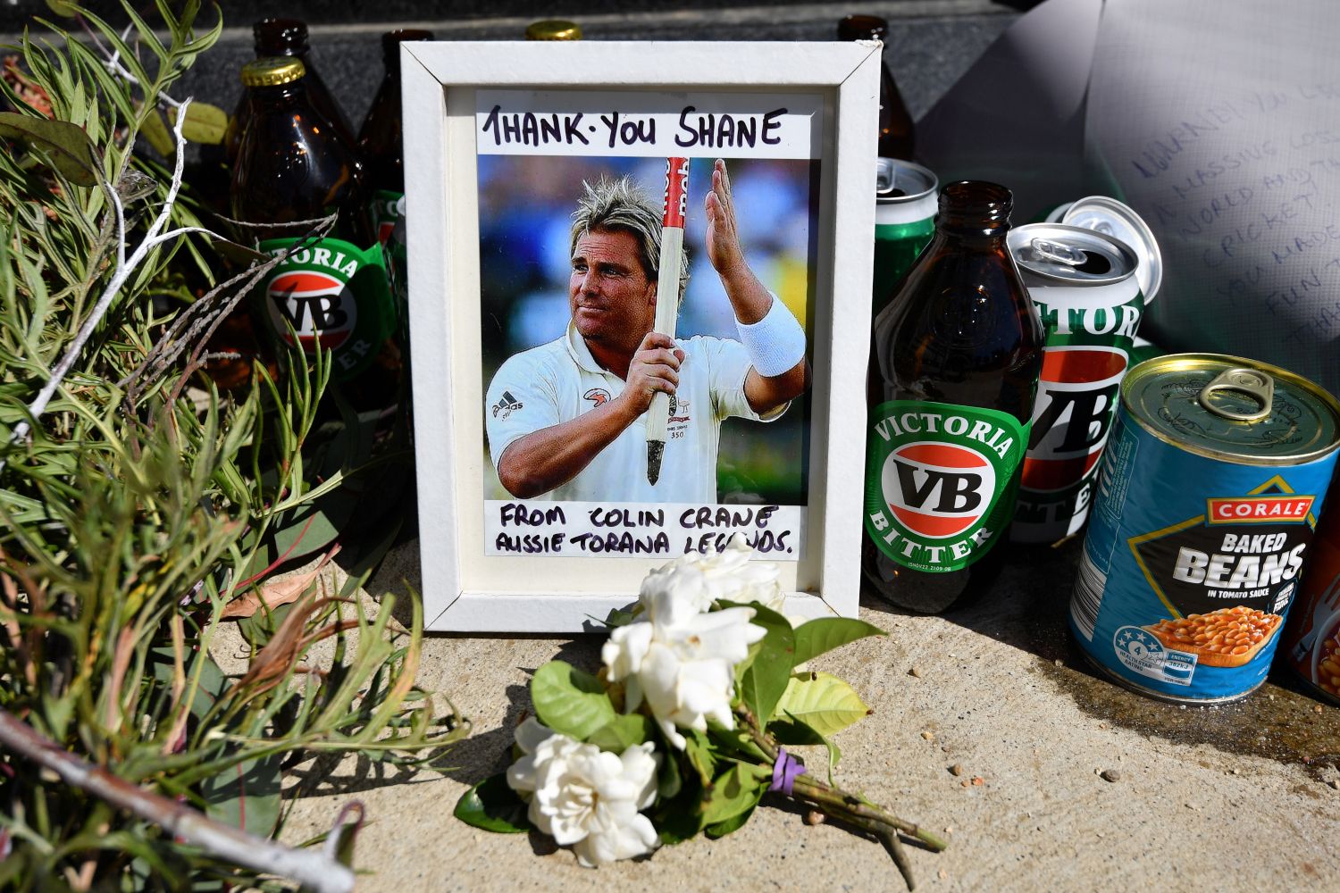 Homenaje a Shane Warne / EFE/EPA - JOEL CARRETT