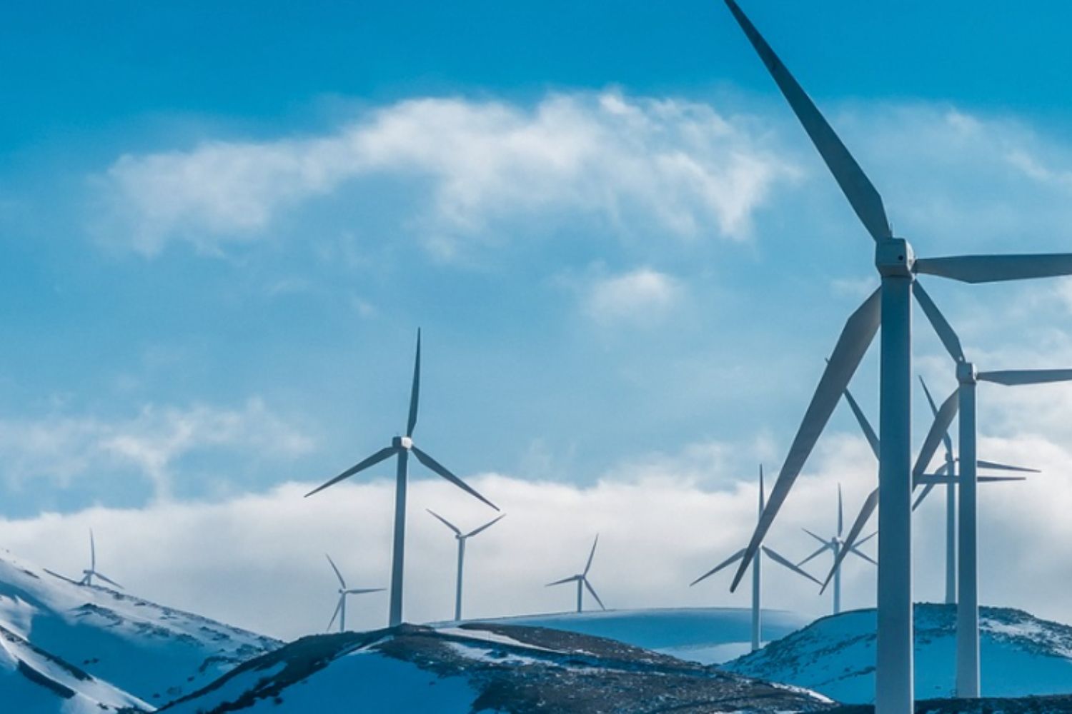 Varios molinos de viento generan energía y hacen bajar el precio de la luz / LUVON ENERGIA