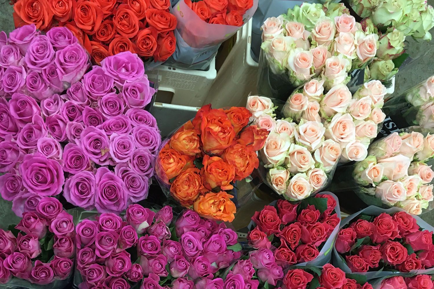 Adiós a las rosas de 3€ en Sant Jordi 2022: el precio sube y las ventas  rondarán los 6 millones