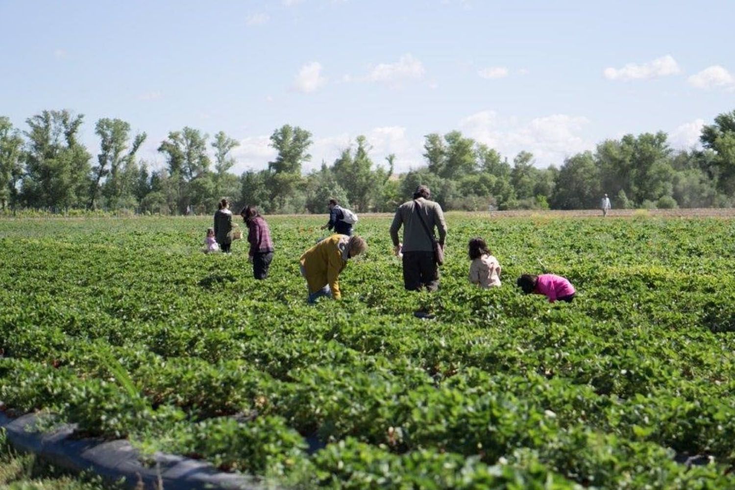 Una finca agrícola de donde salen productos ecológicos / EP