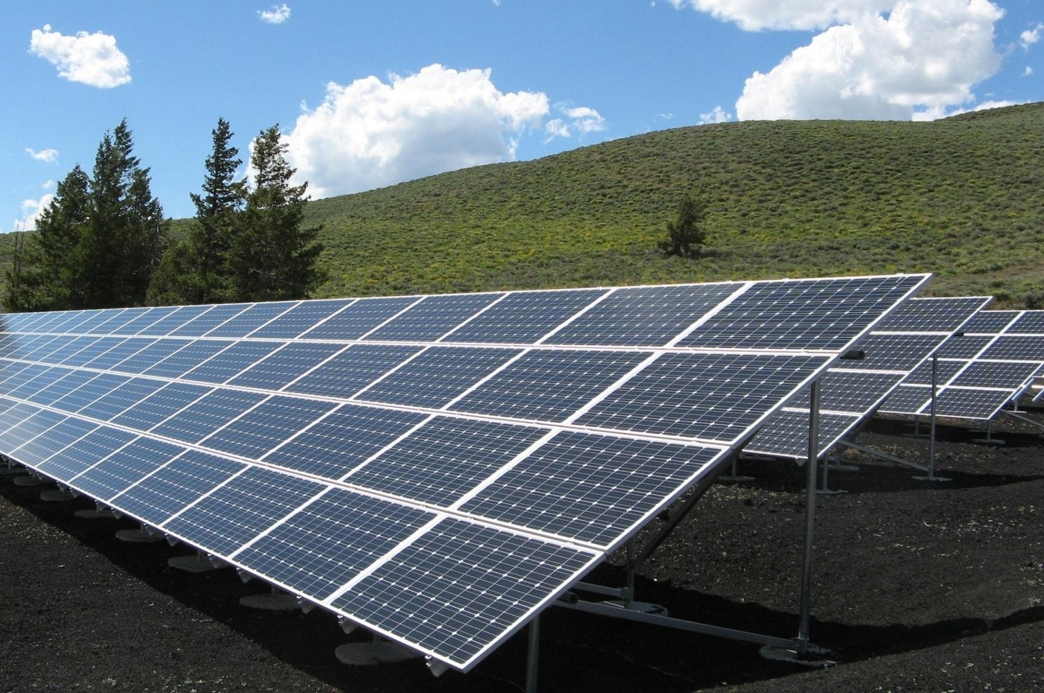 Placas solares propiedad de una cooperativa eléctrica /PEXELS