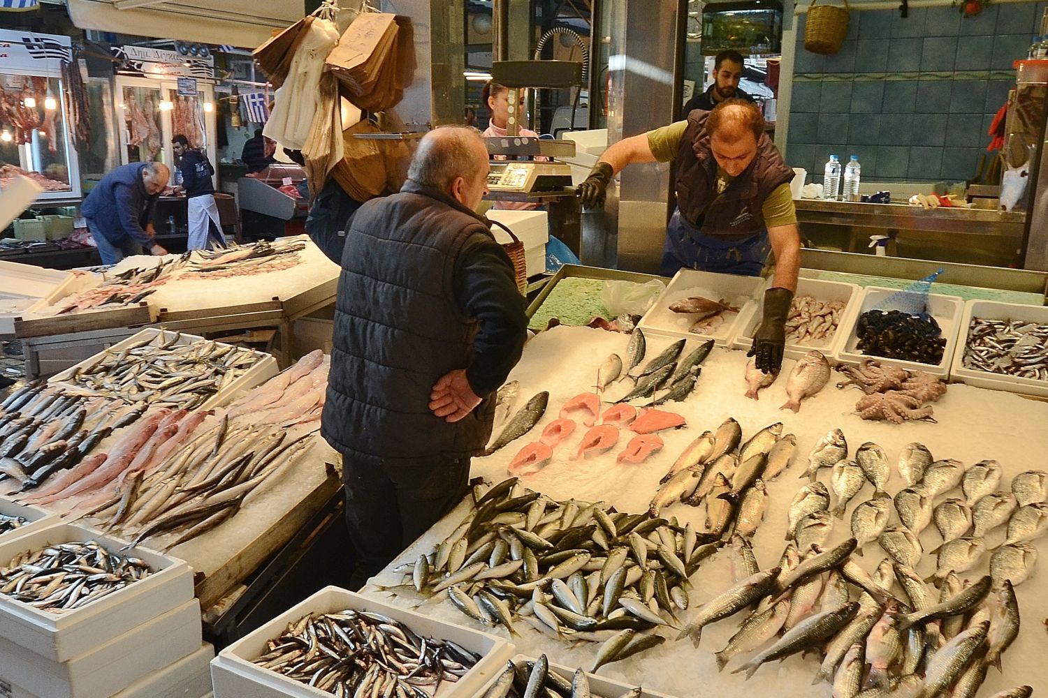 salm-n-o-merluza-los-pescados-y-mariscos-favoritos-de-los-espa-oles