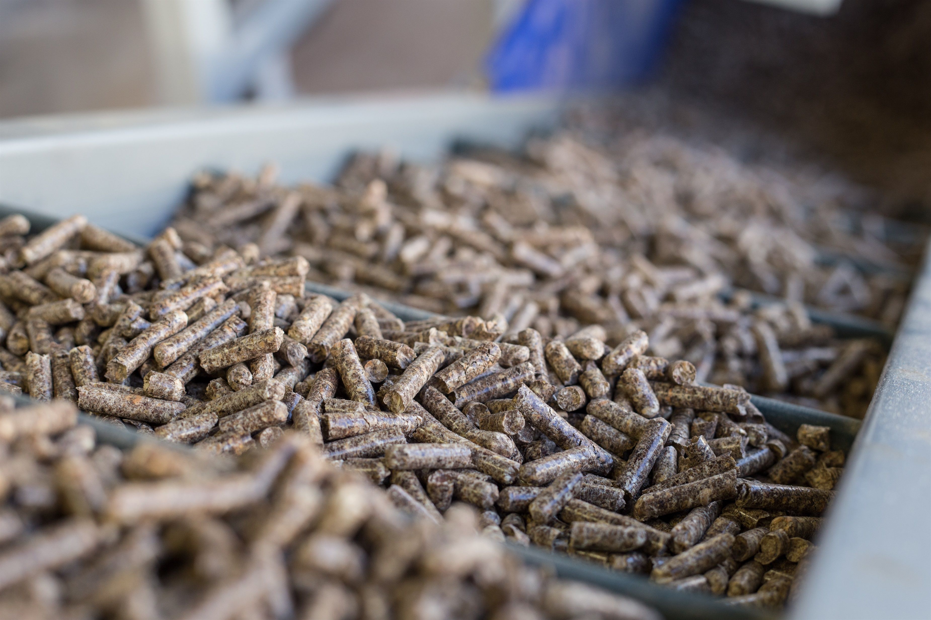 Kilogramos de pellets listos para su comercialización / EP