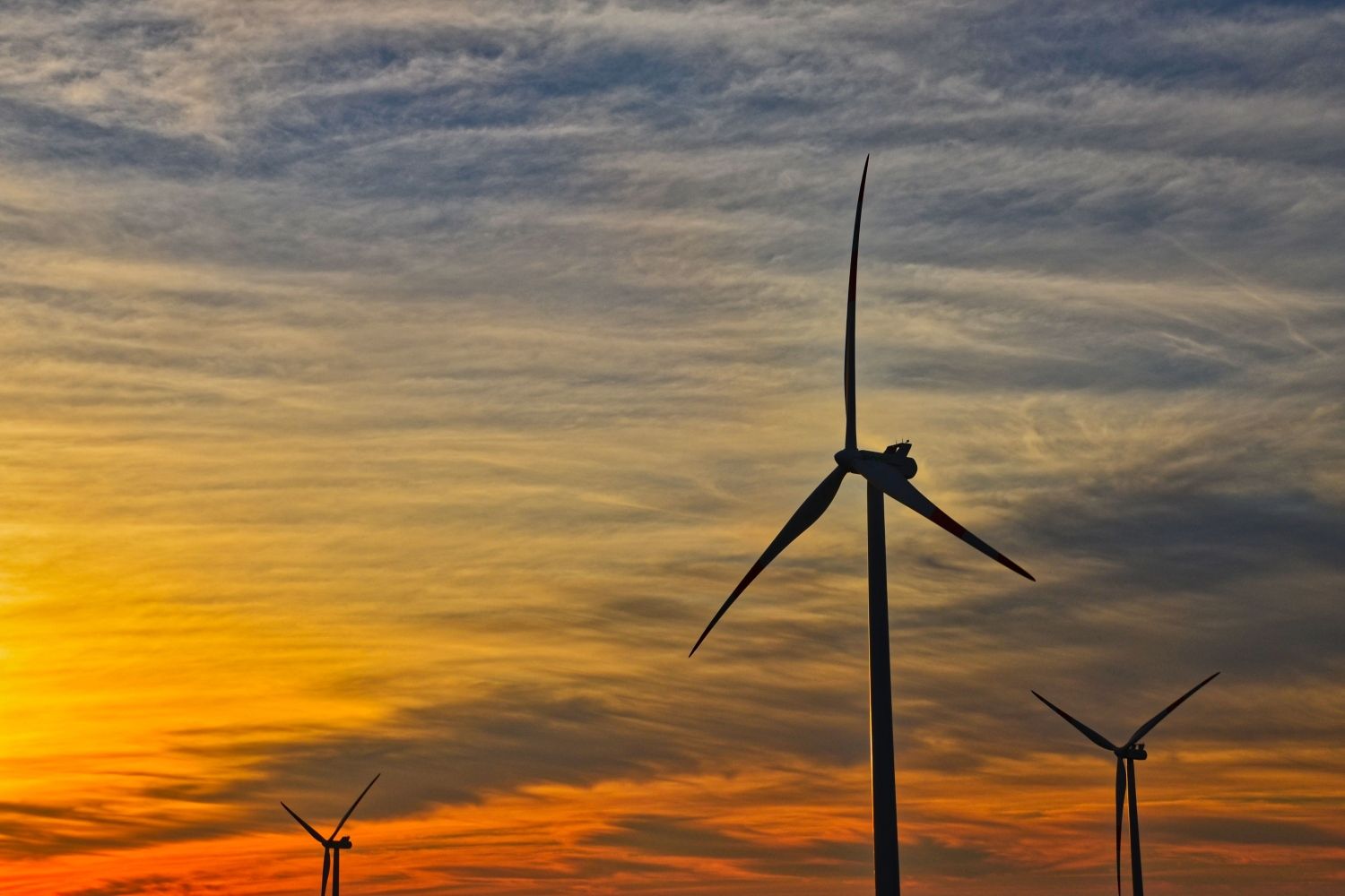 Molinos de energía eólica que, gracias a la borrasca, han hecho descender el precio de la luz / FLICKR