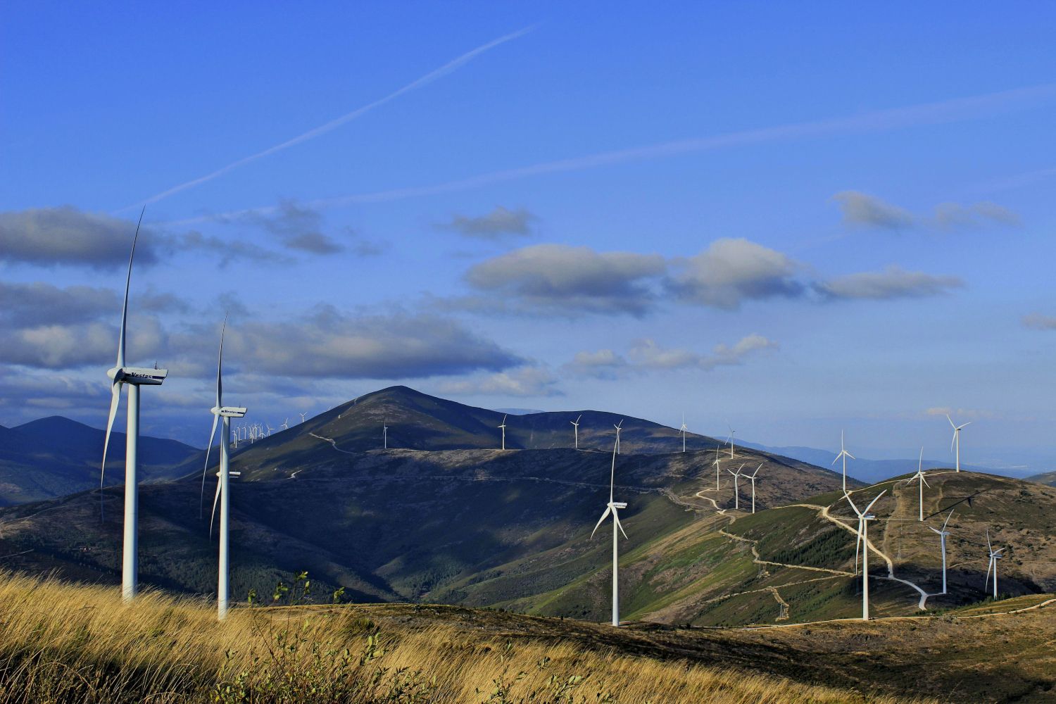 Un parque eólico, cuya energía permite que el precio de la luz sea más barato / PEXELS