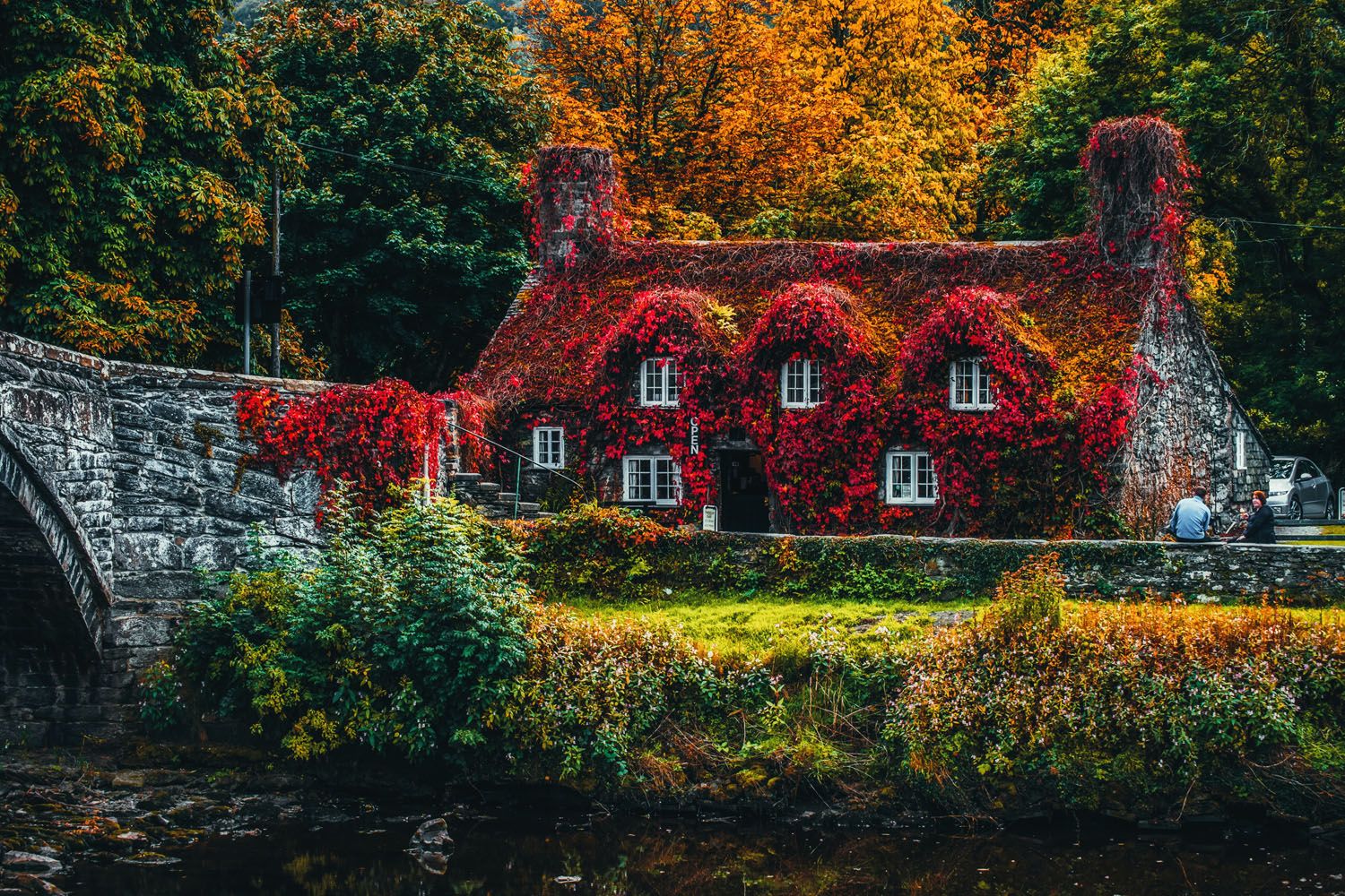 Una casa con plantas en el jardín / PEXELS