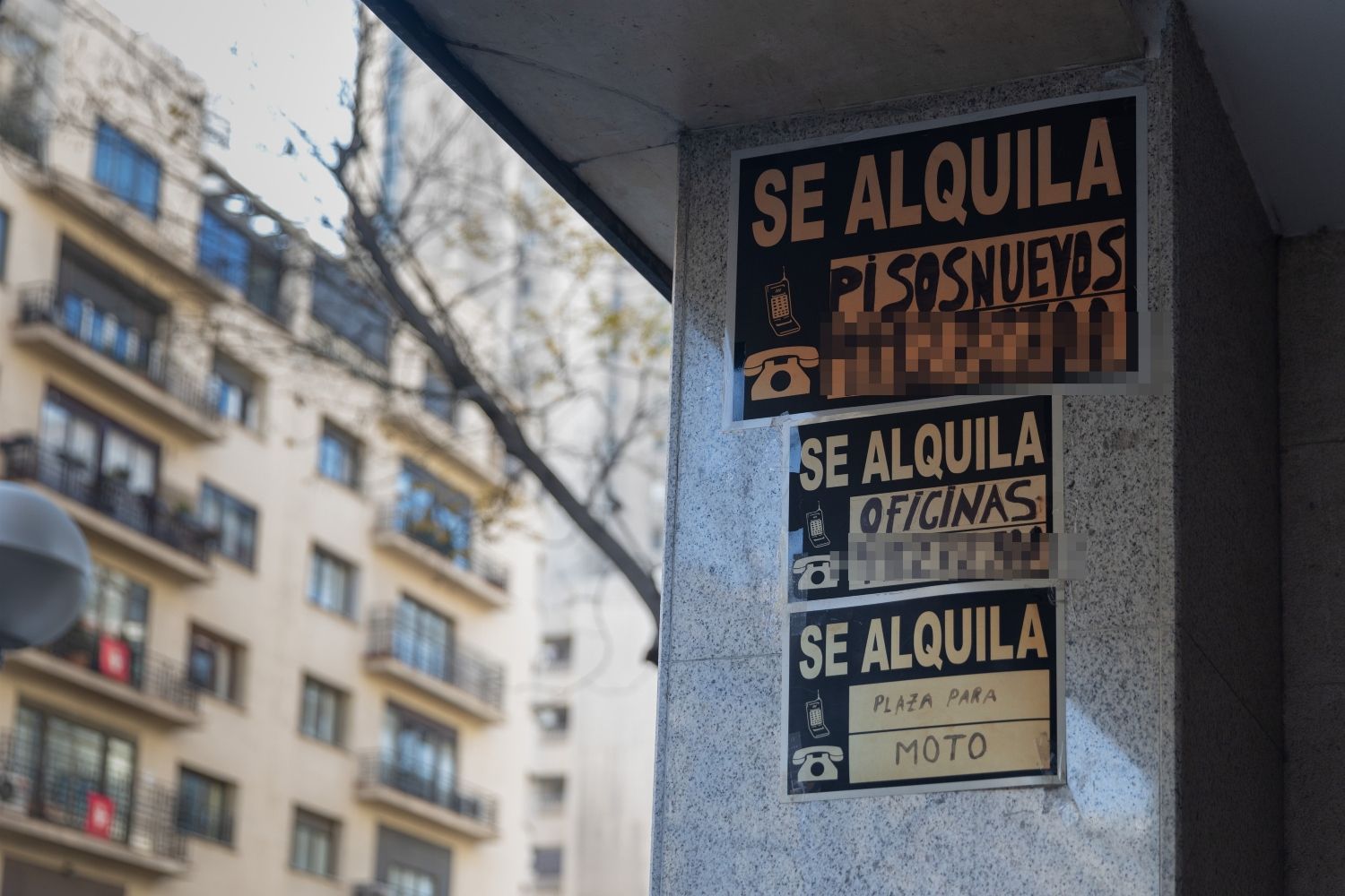 Carteles de 'Se alquila' de inmobiliarias en un bloque de viviendas / EP