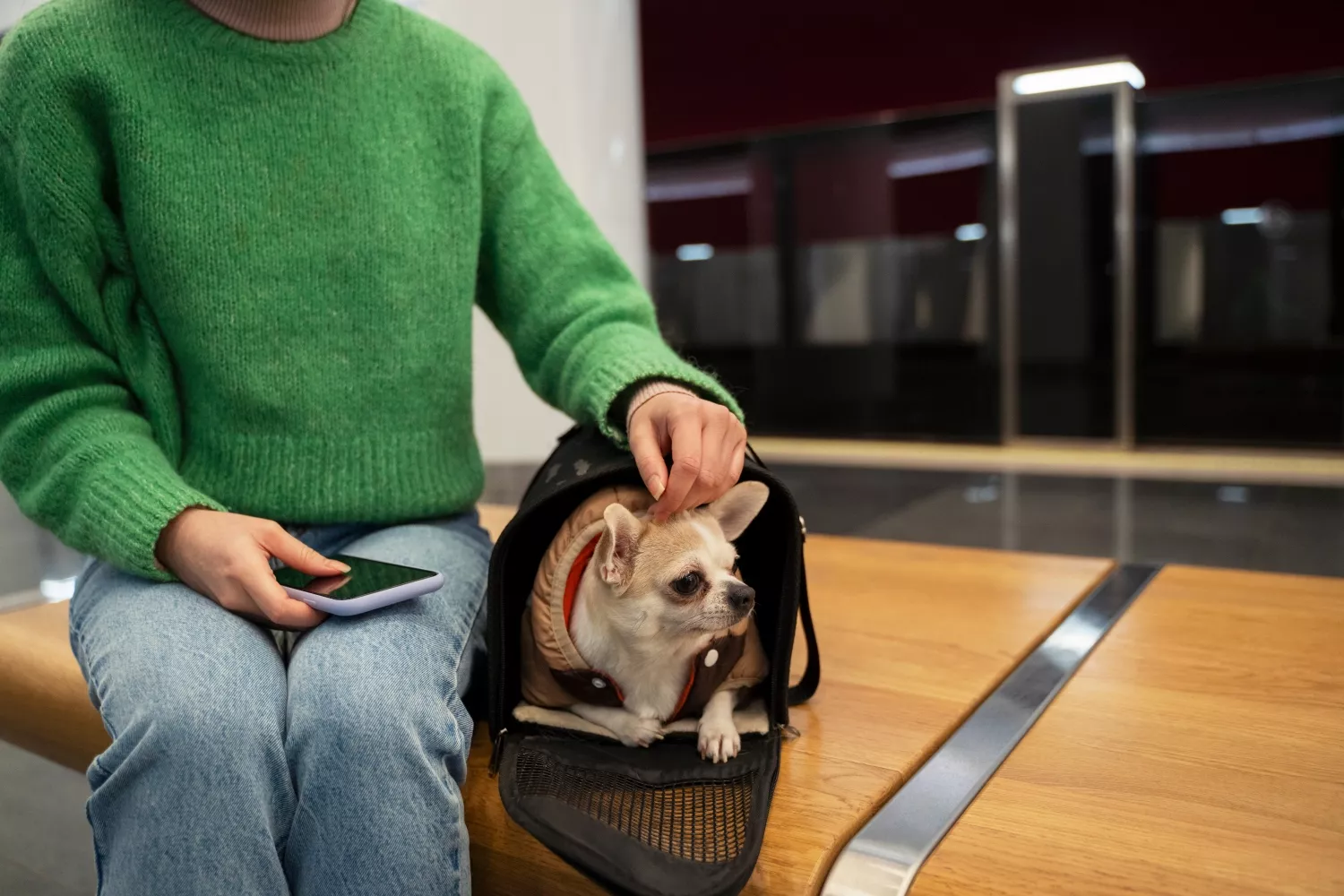 Una mujer con su perro en un aeropuerto / FREEPIK