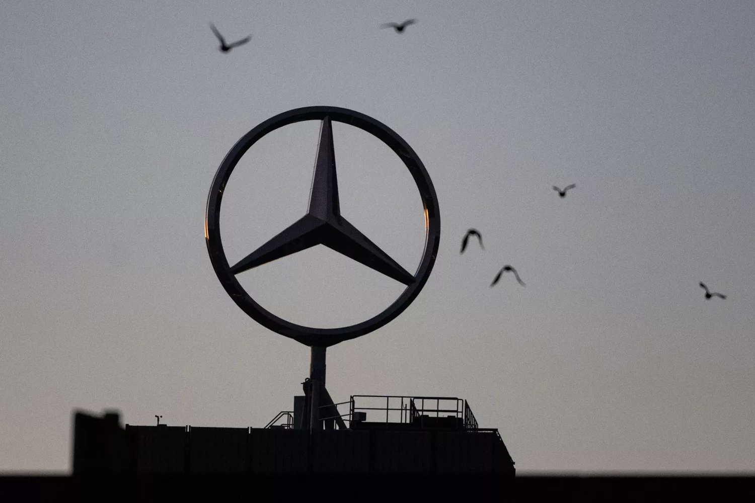 El logo de Mercedes-Benz con pájaros alrededor / EUROPA PRESS