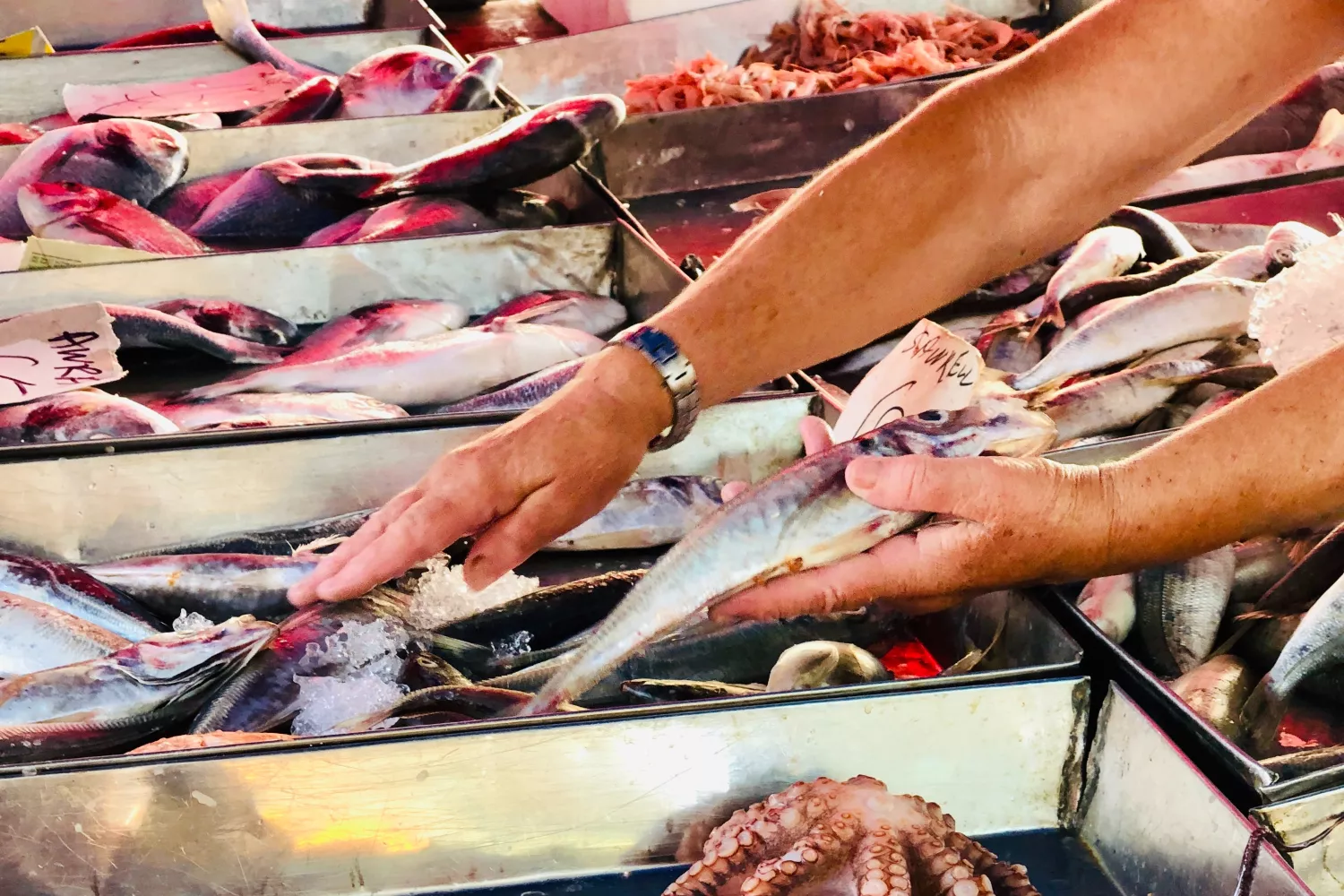 Una persona coge un pescado / UNSPLASH