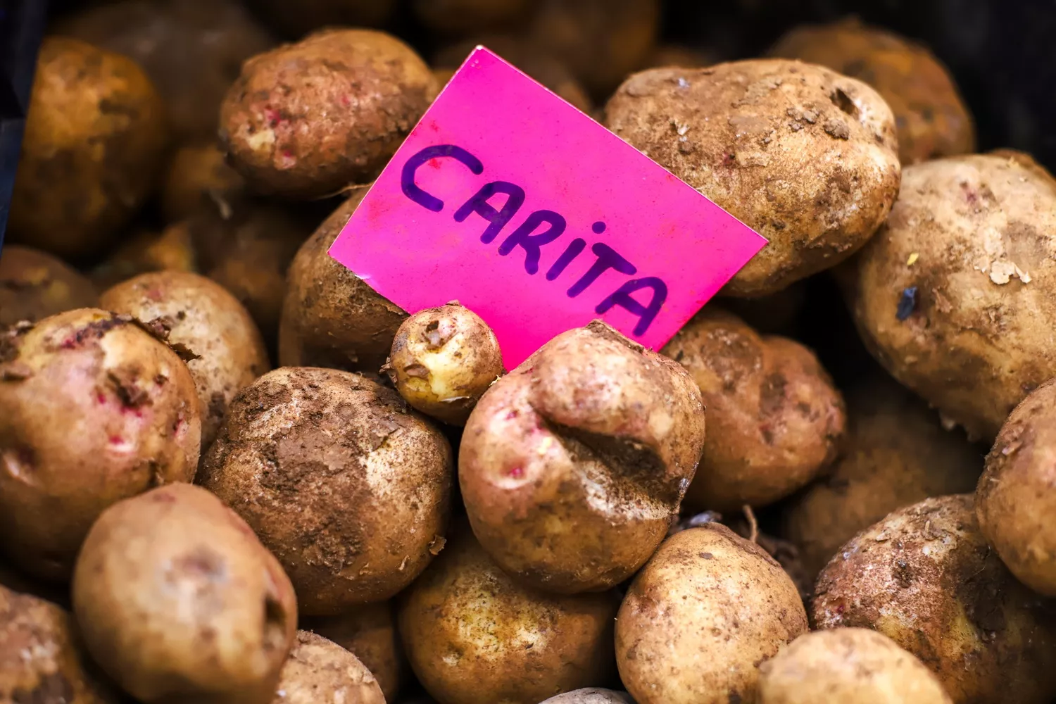 Una caja con papas canarias / EFE