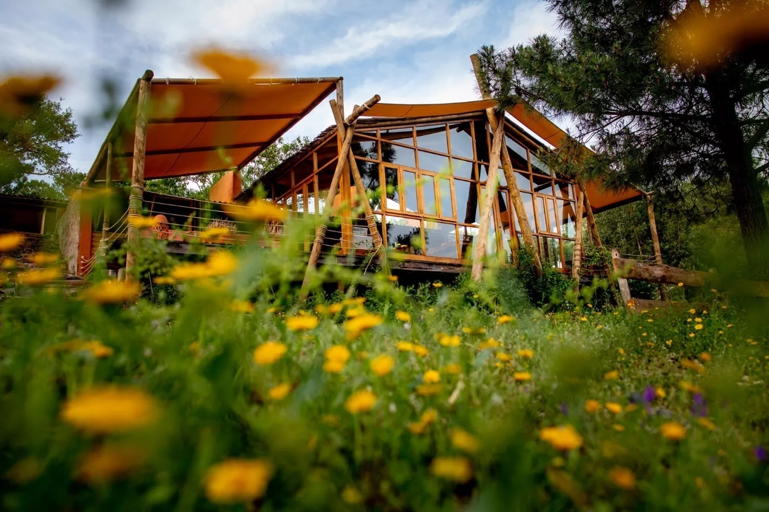 Una habitación de un hotel sostenible en otoño BOOKING