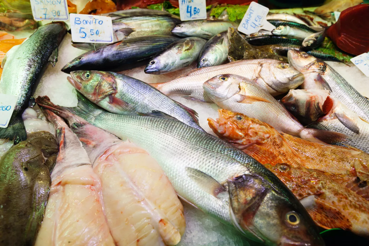 Pescados en una pescadería / FREEPIK