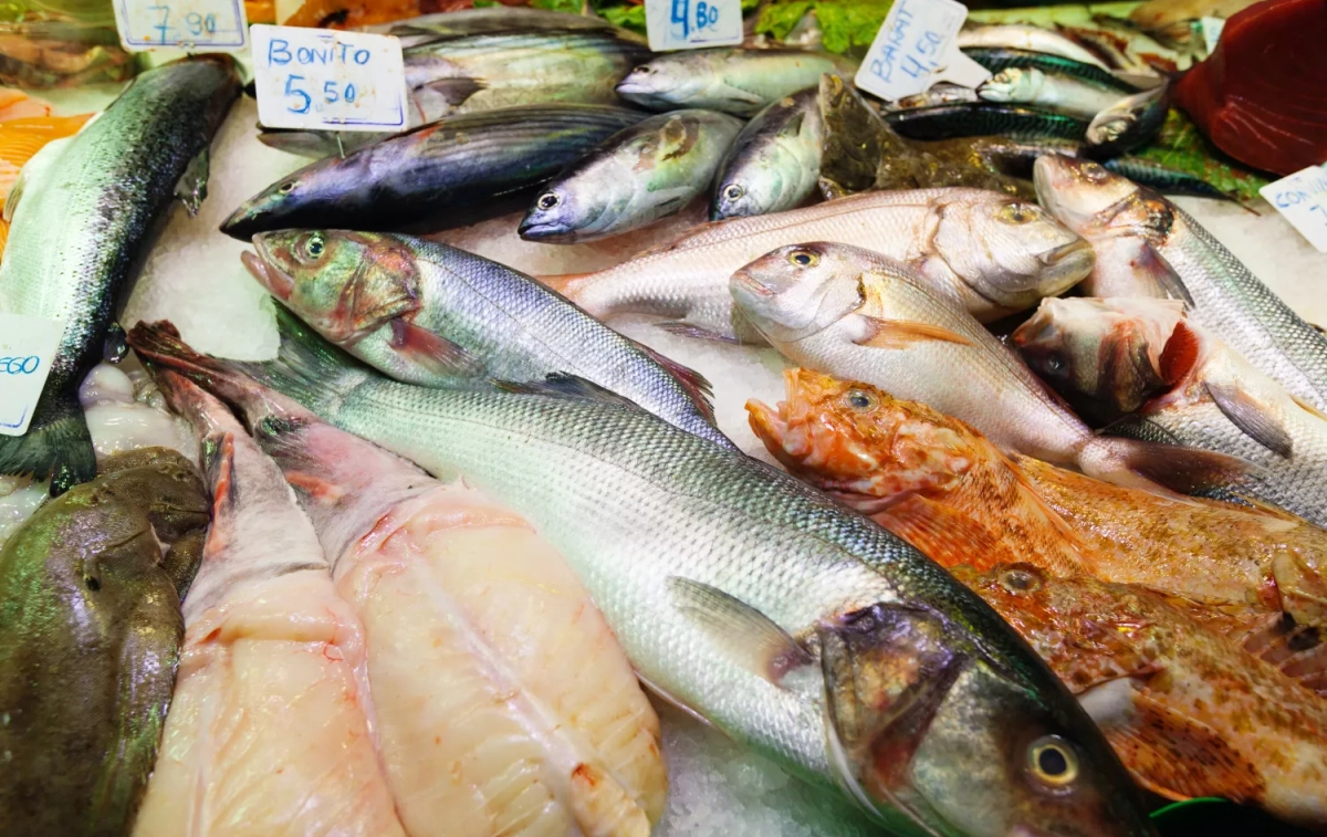 Pescados en una pescadería / FREEPIK