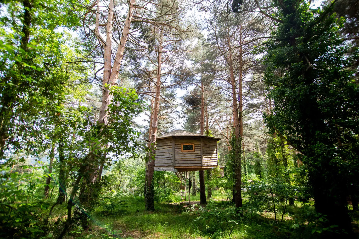 Una de las cabañas en los árboles de Sant Hilari Sacalm, en Girona / CABANES ALS ARBRES