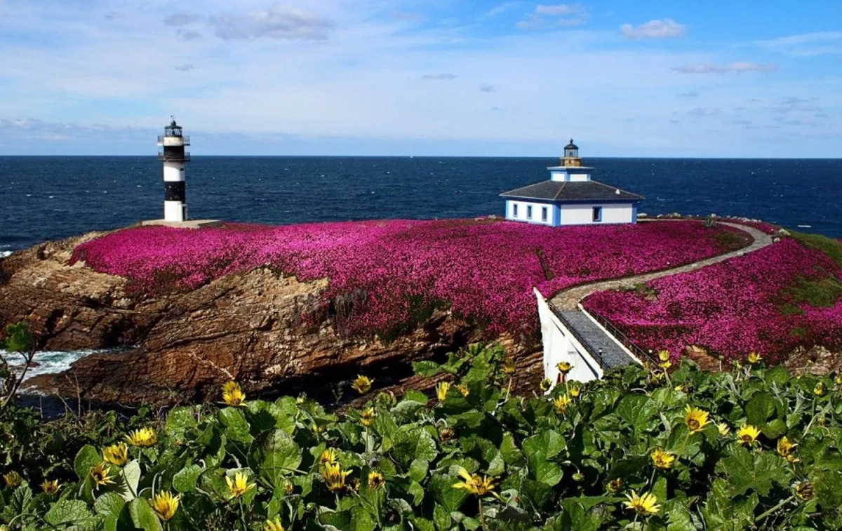 El faro de Isla Pancha esconde un precioso hotel / ATFIP