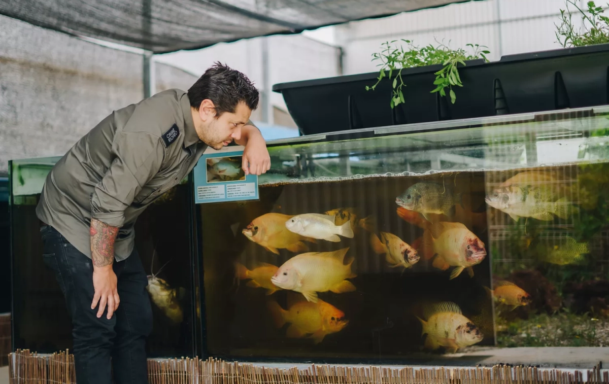 Diego Gallegos junto a las peceras que tiene en su restaurante, de donde extrae los peces que sirve en el menú degustación