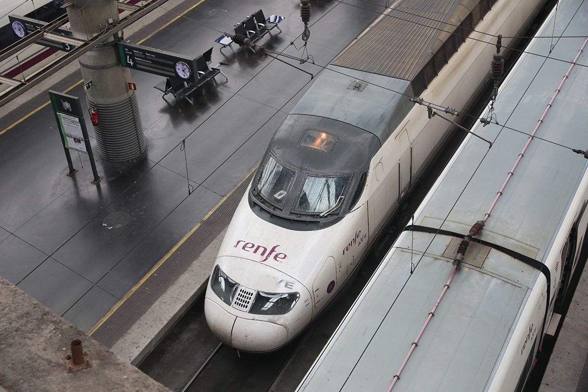 Un tren AVE de Renfe en una estación ferroviaria / EP