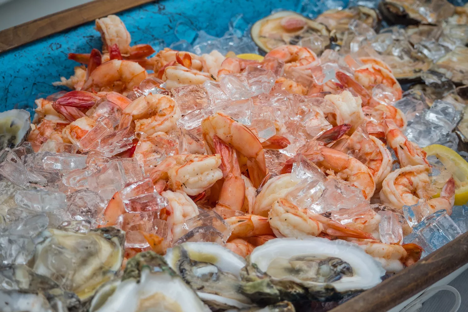 Varios mariscos que han subido de precio antes de Navidad / PIXABAY