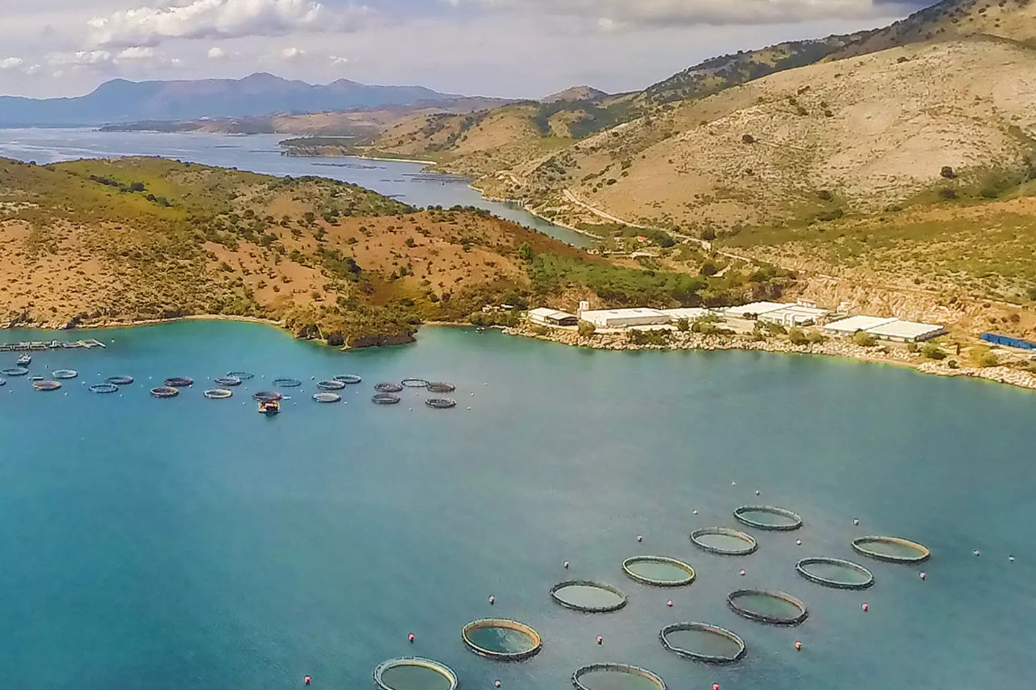 Jaulas con peces en una producción de acuicultura Avramar