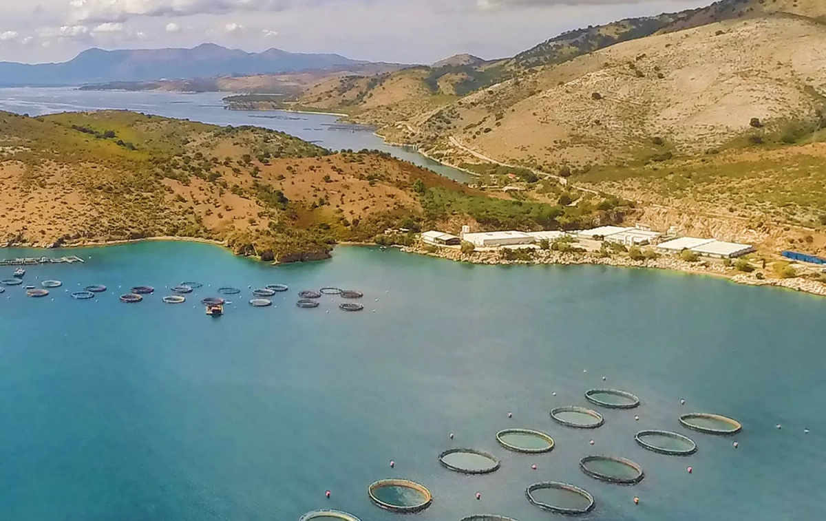 Jaulas con peces en una producción de acuicultura Avramar