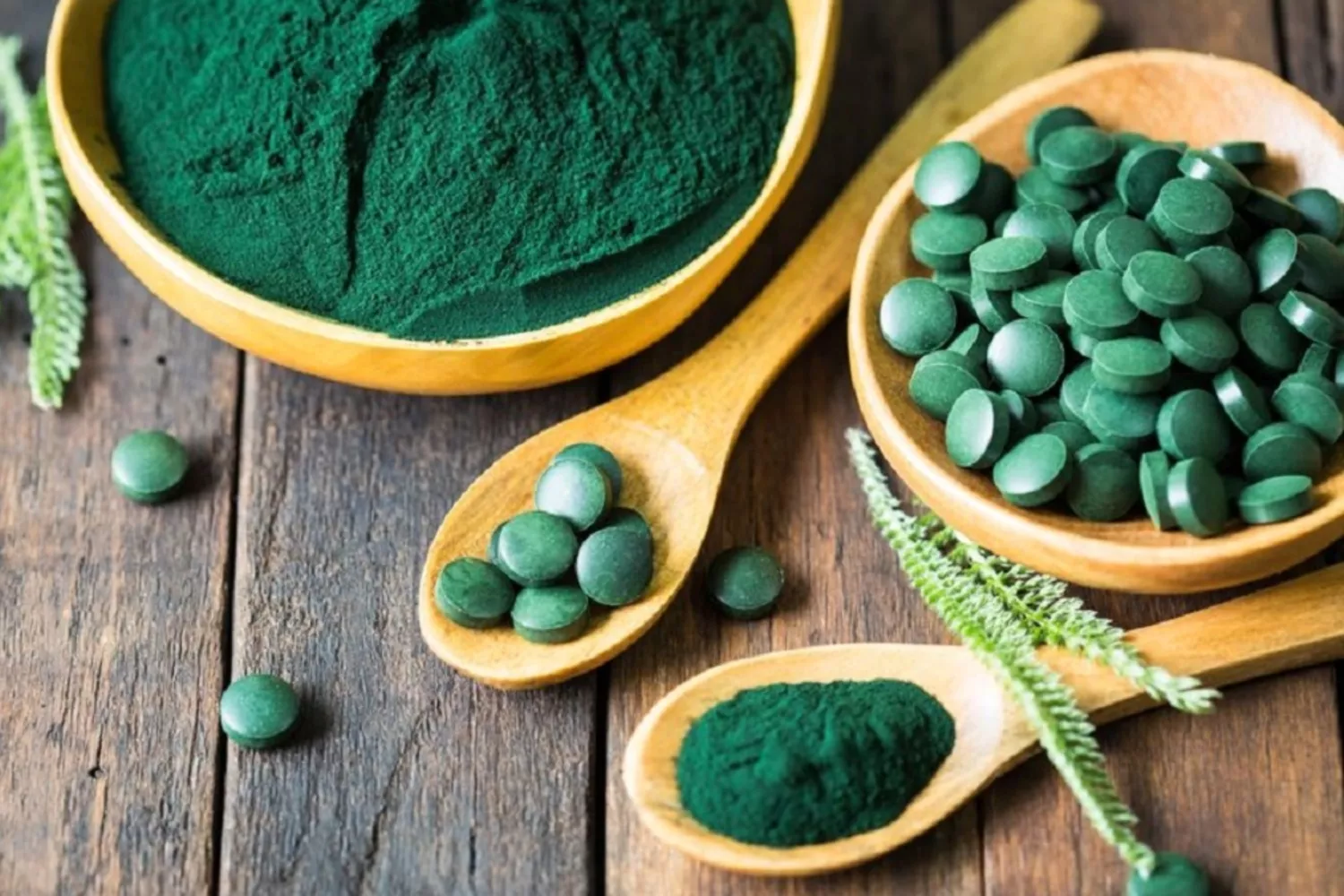 Espirulina en polvo