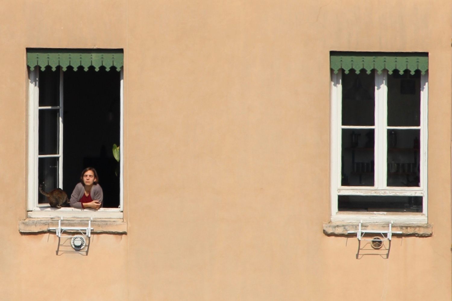 Uno de los vecinos de la comunidad en su ventana / PEXELS