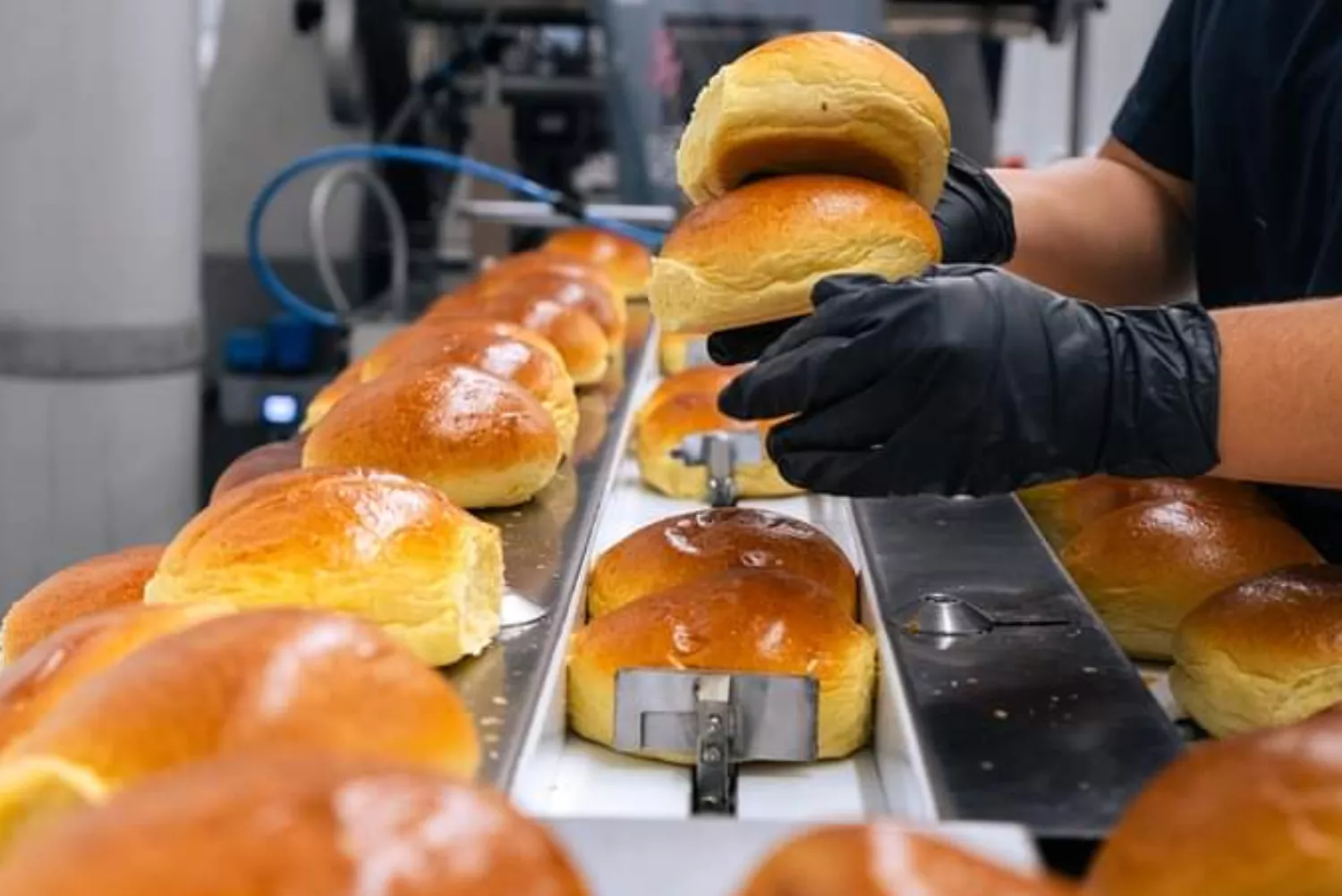 Los panes de hamburguesa que elabora Juanito Baker en su fábrica / JUANITO BAKER - FACEBOOK