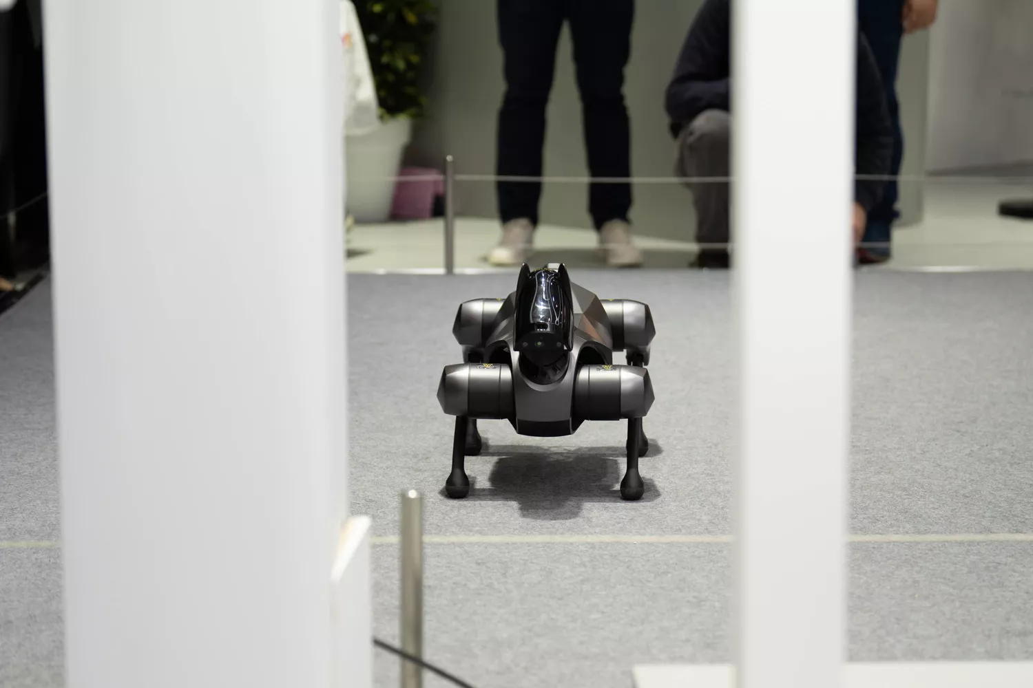 El perro robot que repite cada año en el Mobile World Congress / SIMÓN SÁNCHEZ (CG)