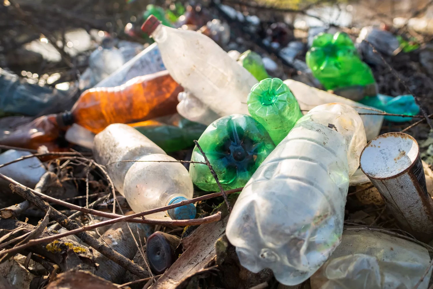 Diferentes botellas de plásticos acumuladas en el suelo / FREEPIK - @frimufilms