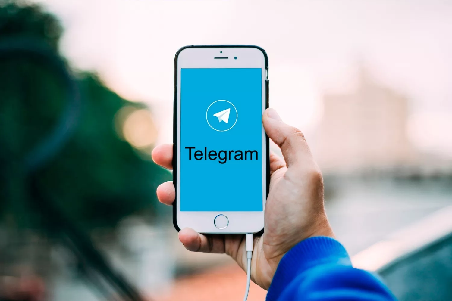 Aplicación Telegram / PIXABAY