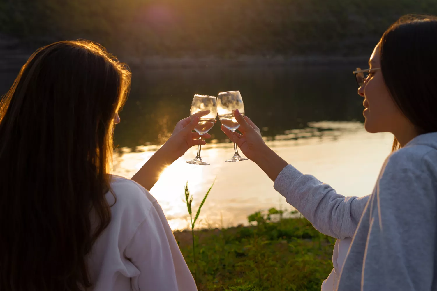 Dos personas brindan con vinos naturales / FREEPIK