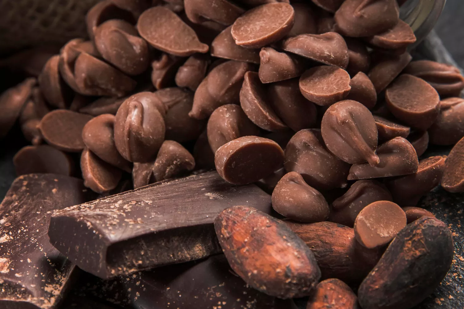 Granos de cacao y chocolate / FREEPIK