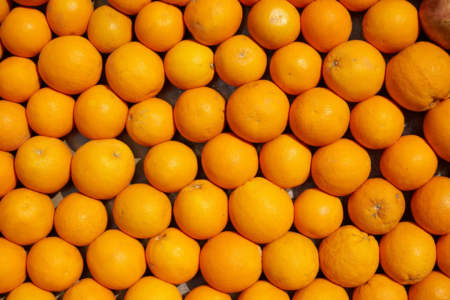 Naranjas a granel en un supermercado / PEXELS