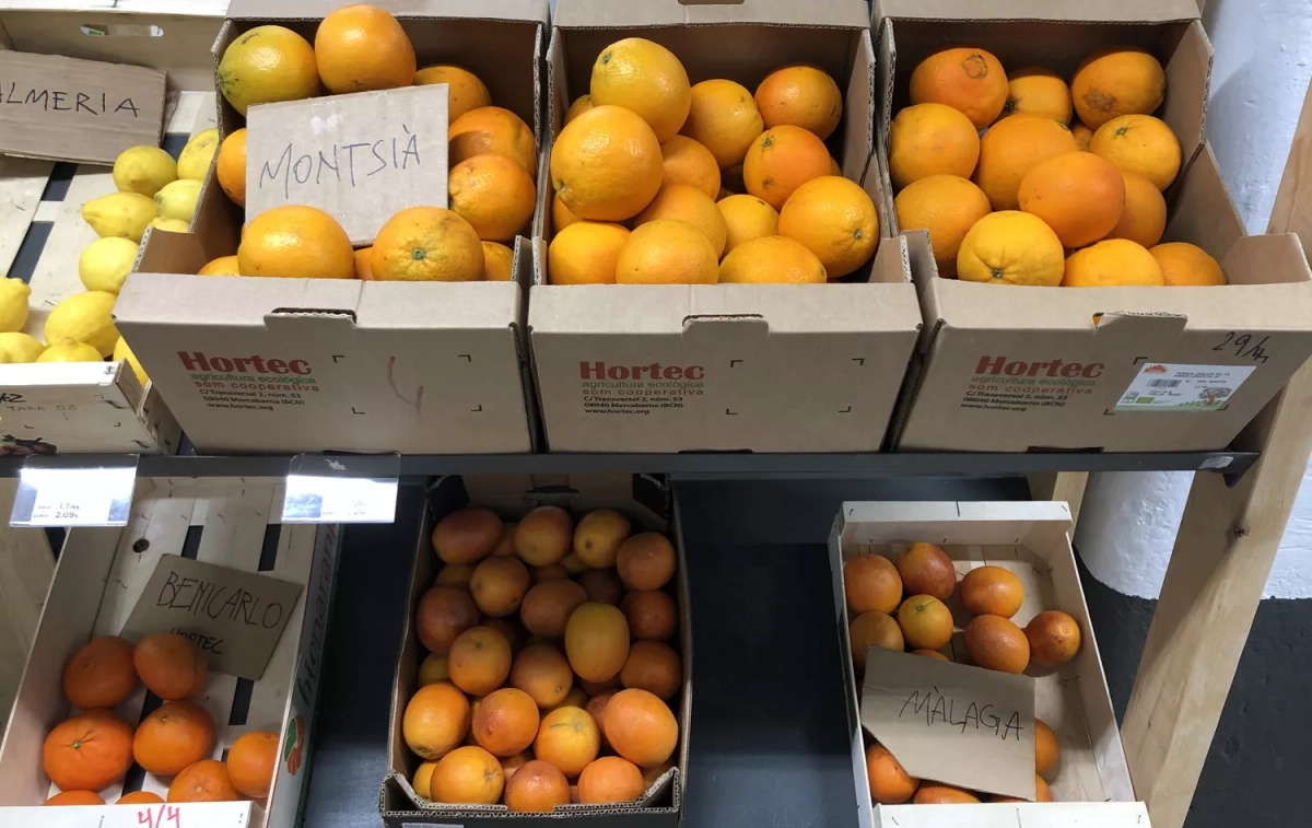 Naranjas y limones de proximidad / TC