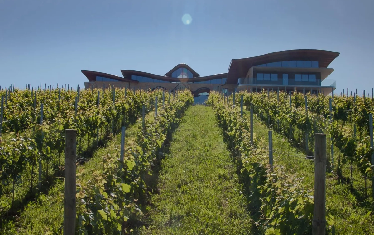 Los viñedos y el edificio de Hika Bodegas, donde también se encuentra el premiado restaurante / HIKA BODEGAS