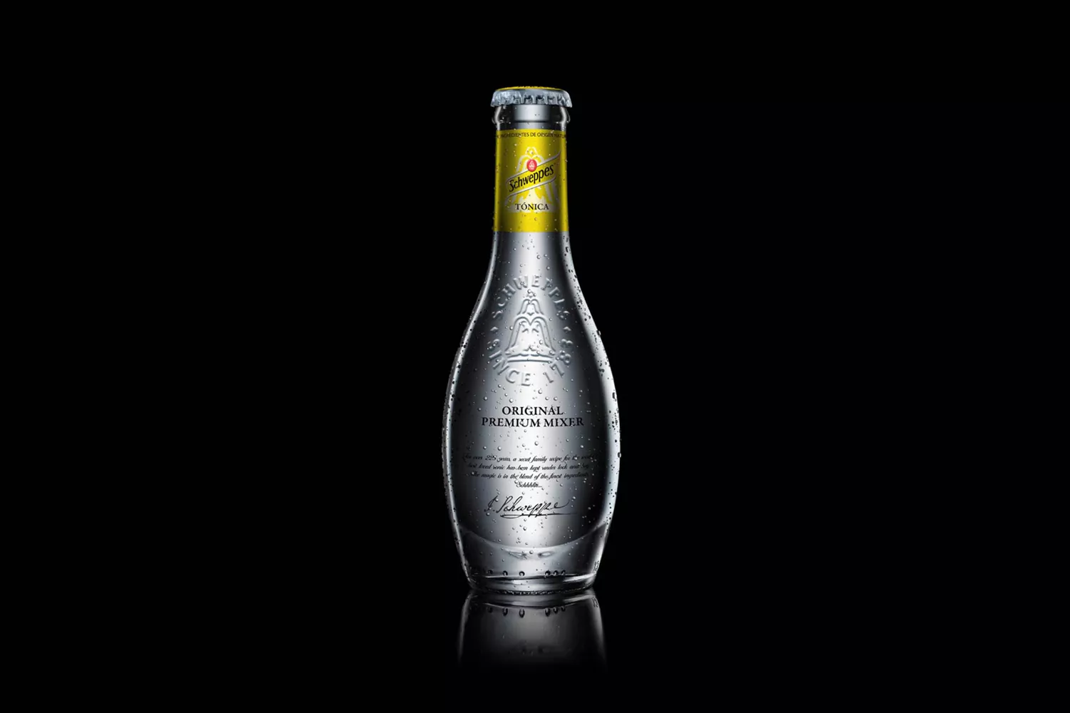 Una botella de tónica Schweppes / MORILLAS