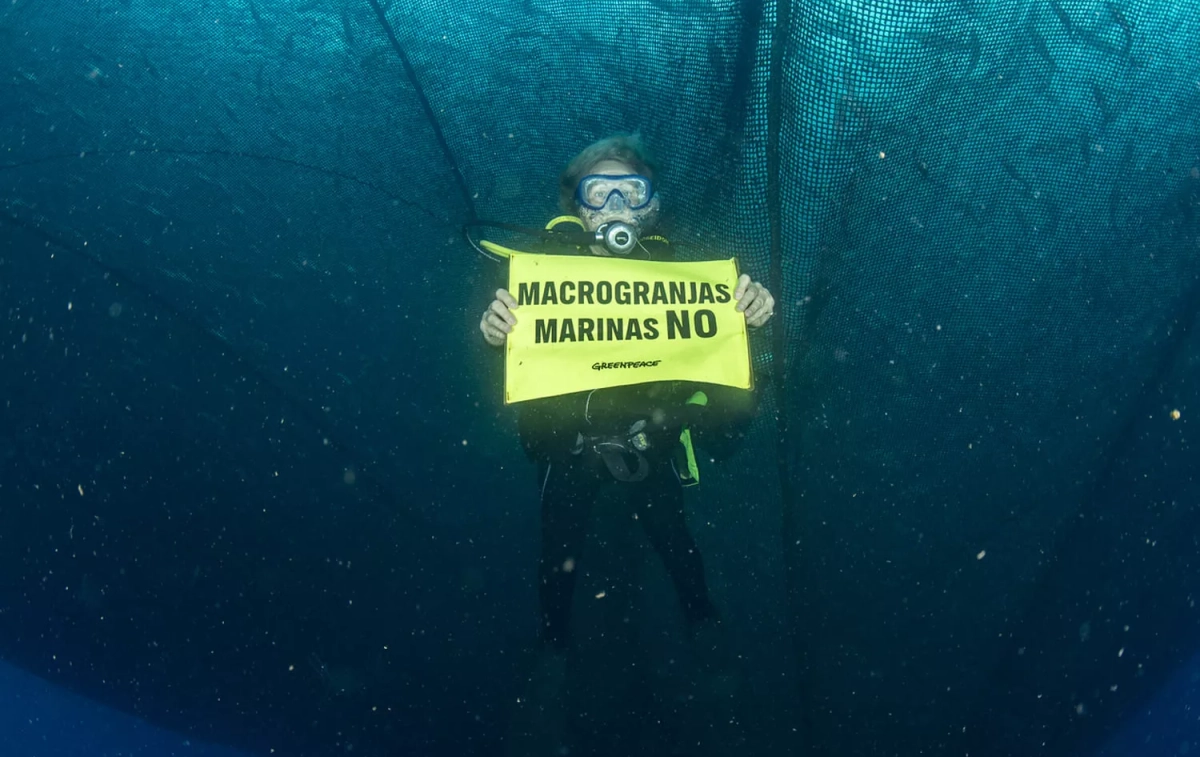 Un activista de Greenpeace con una pancarta en contra de las macrogranjas