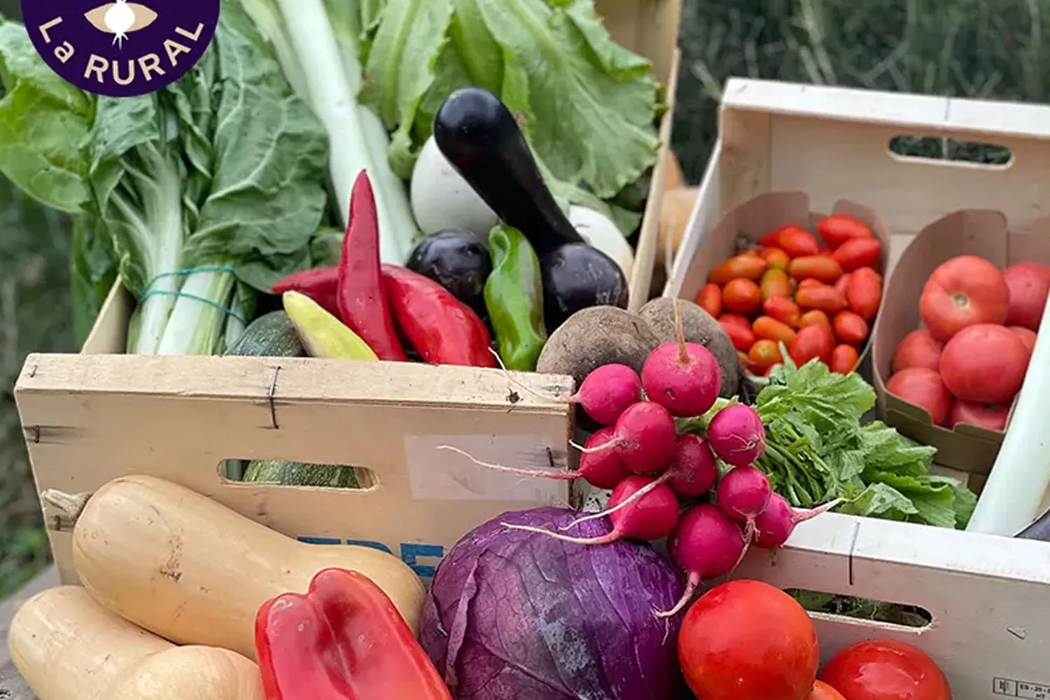 Las cestas de payés con productos ecológicos de La Rural de Collserola / LRC