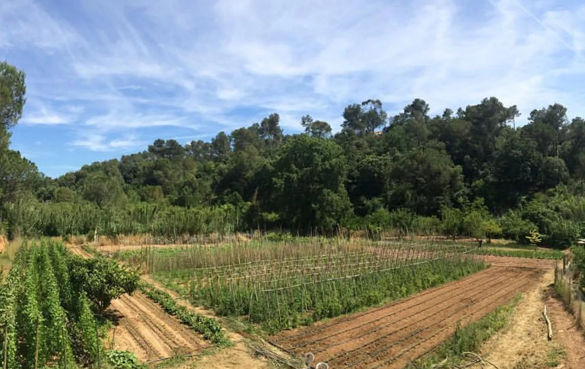 Uno de los huertos de La Rural de Collserola / FACEBOOK