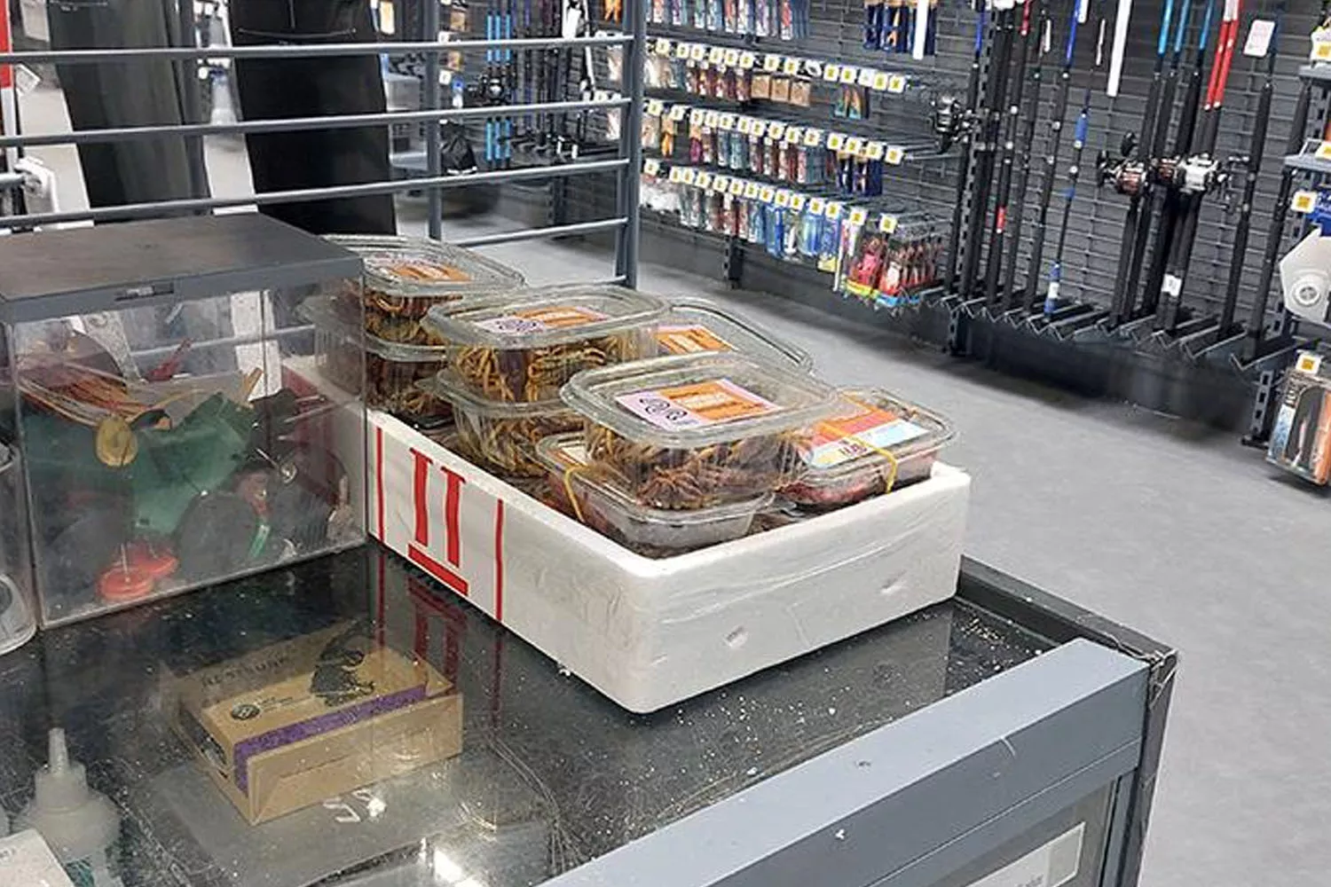 Las cajas de plástico con cangrejos vivos en Decathlon / FAADA