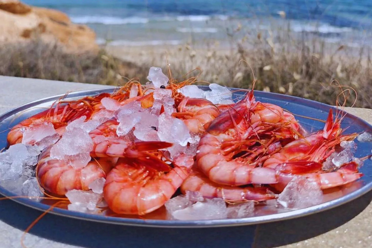 Un plato de gambas con hielo en el chiringuito Oasis Beach de Alicante / FACEBOOK