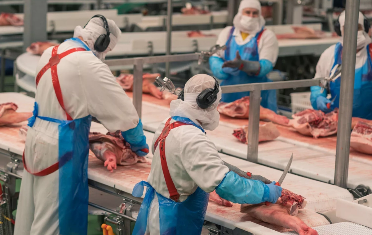 Trabajadores de la empresa de productos cárnicos Incarlopsa / JUAN MORENO - EP