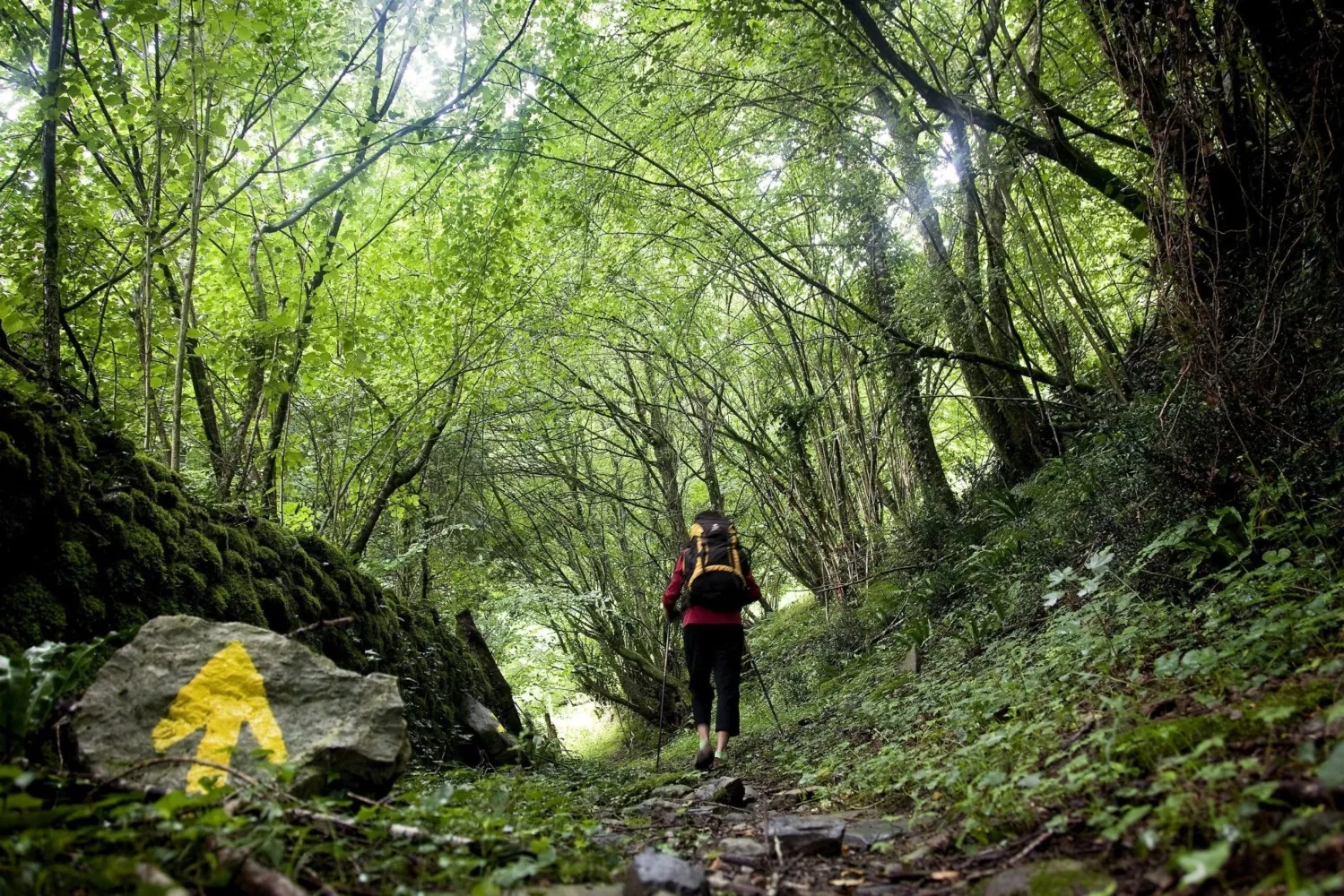 Una peregrina hace una de las mejores rutas del Camino de Santiago / VILLAR LÓPEZ - EFE