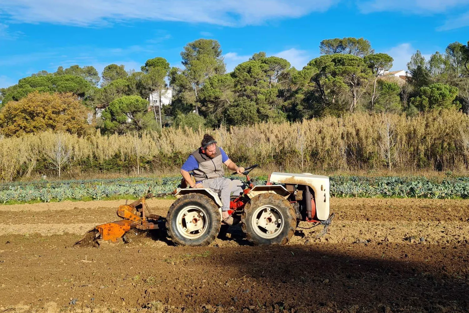 El agricultor Alfred March trabajando la tierra donde cultiva productos ecológicos / CEDIDA