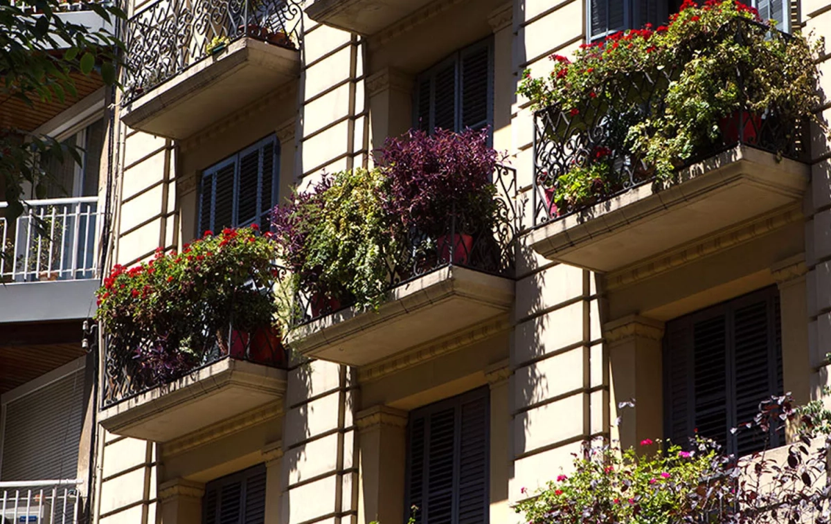 Balcones con plantas que reducen la temperatura ambiente / AYUNTAMIENTO DE BARCELONA