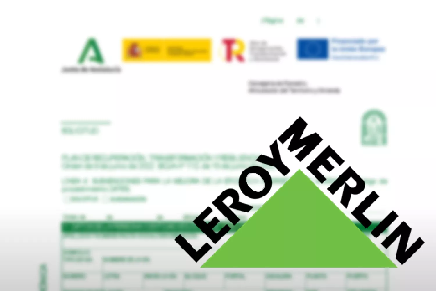 Leroy Merlin pone en riesgo una subvención autonómica / CG